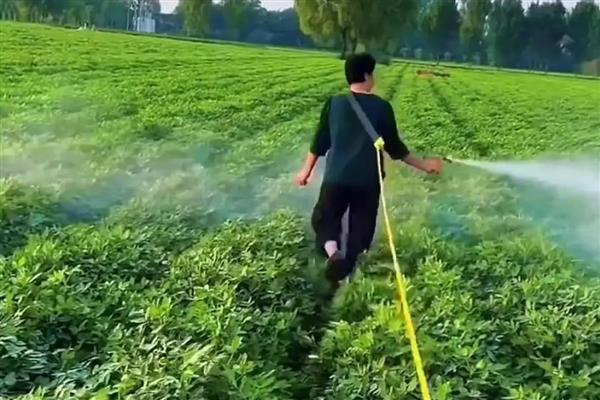 植物生长调节剂有何作用，能起到促进种子发芽、培育壮苗、控制徒长等效果