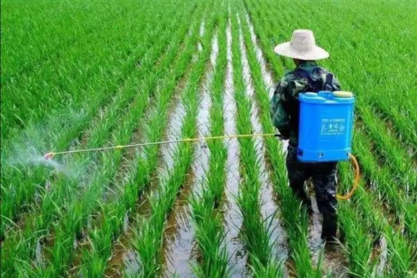 植物生长调节剂有何作用，能起到促进种子发芽、培育壮苗、控制徒长等效果