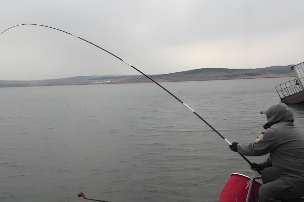 怎么钓青鱼,建议下钩轻触底、上钩离底