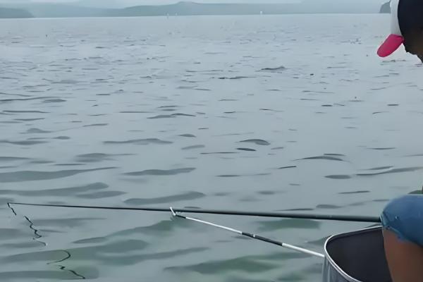 怎么钓青鱼,建议下钩轻触底、上钩离底