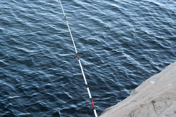 怎么钓青鱼,建议下钩轻触底、上钩离底