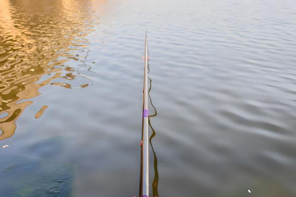 怎么钓青鱼,建议下钩轻触底、上钩离底