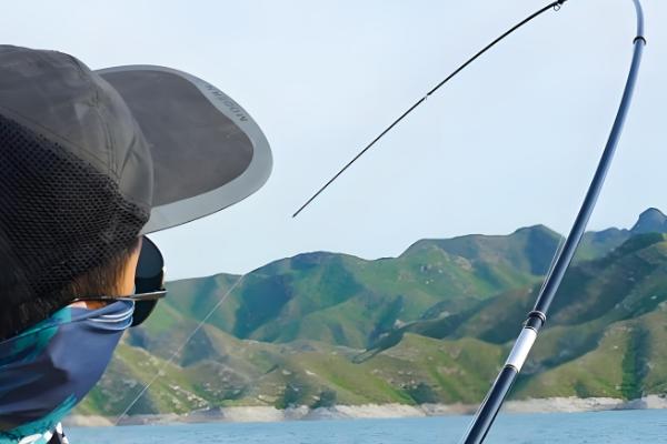 怎么钓青鱼,建议下钩轻触底、上钩离底