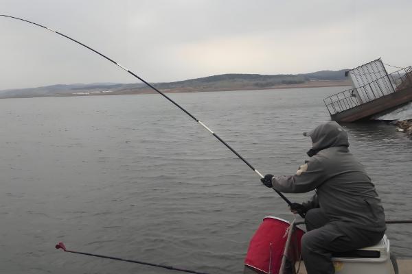 春天怎样钓鲤鱼，建议用5.4米或6.3米的鱼竿