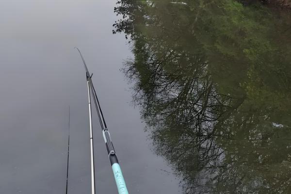 春天怎样钓鲤鱼，建议用5.4米或6.3米的鱼竿