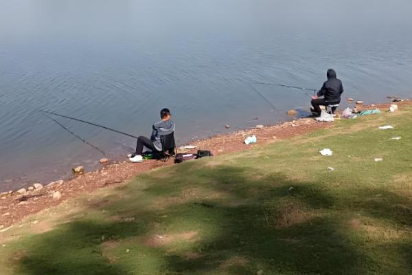 春天怎样钓鲤鱼，建议用5.4米或6.3米的鱼竿