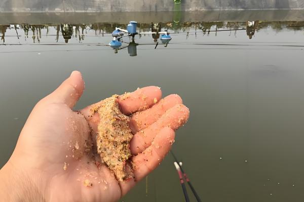 春天怎样钓鲤鱼，建议用5.4米或6.3米的鱼竿