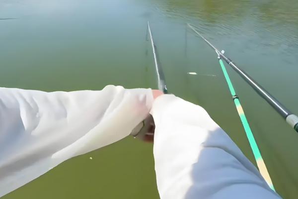 春天怎样钓鲤鱼，建议用5.4米或6.3米的鱼竿