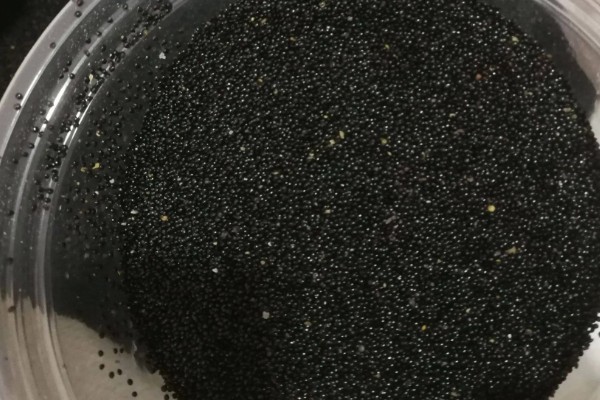 苋菜的种植方法,春夏秋季均可栽种