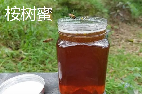 桉树蜜和蜂蜜的区别，蜜源不同