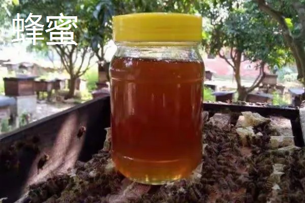 桉树蜜和蜂蜜的区别，蜜源不同