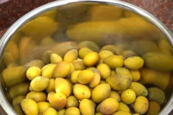 橄榄的成熟时间,一般在10月份左右