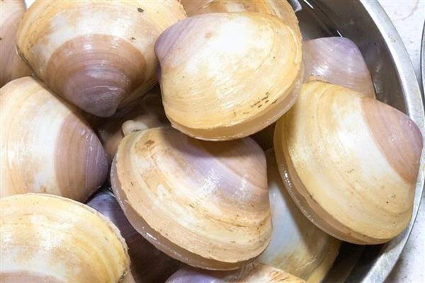 西施舌是什么，学名尖紫蛤