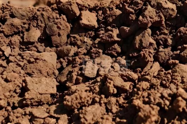 怎么种辣椒，生长期间每隔1-2天浇水一次