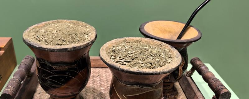 马黛茶简介,是由马黛树的叶子制作而成的茶