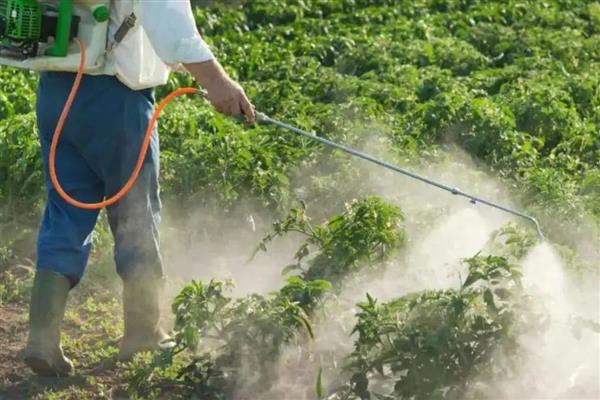 乳油型农药是什么，是一种透明状液体农药