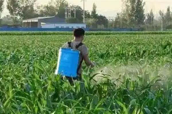 乳油型农药是什么，是一种透明状液体农药