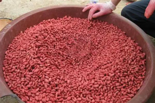 花生种植烂种缺苗的原因，可能是种子质量问题所致