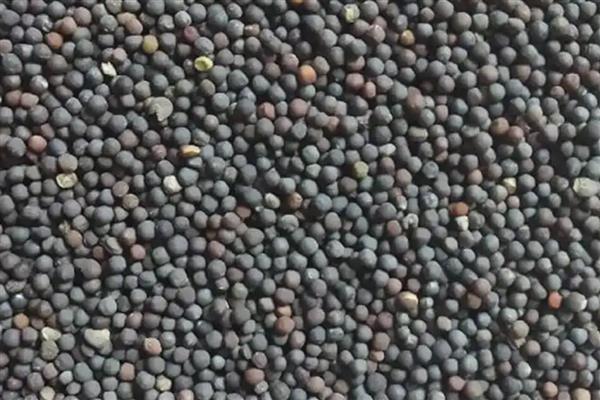 夏季蔬菜的管理技巧,需要及时防高温、强光等