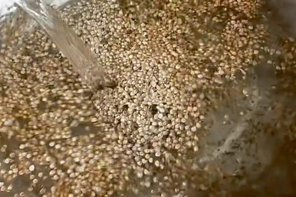 夏季蔬菜的管理技巧,需要及时防高温、强光等