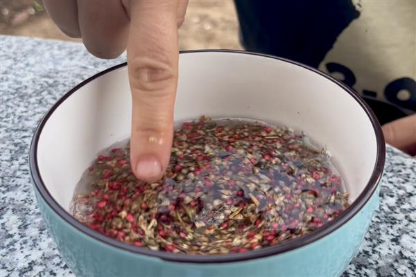 夏季蔬菜的管理技巧,需要及时防高温、强光等