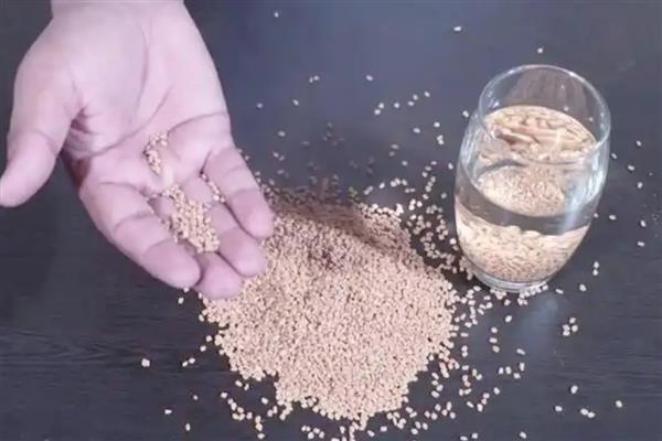 夏季蔬菜的管理技巧,需要及时防高温、强光等