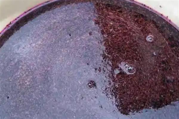 夏季蔬菜的管理技巧,需要及时防高温、强光等