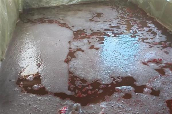 夏季蔬菜的管理技巧,需要及时防高温、强光等