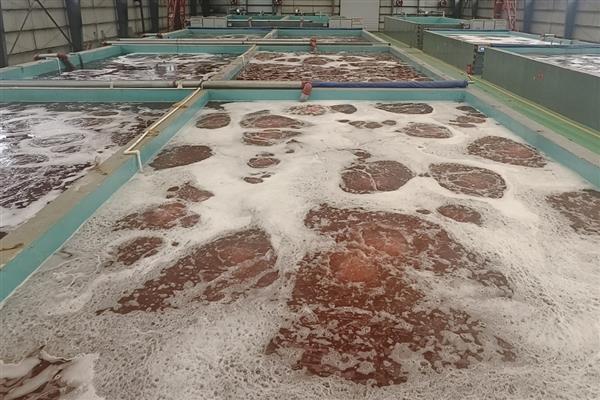 夏季蔬菜的管理技巧,需要及时防高温、强光等