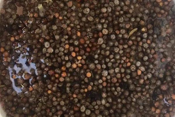 夏季蔬菜的管理技巧,需要及时防高温、强光等