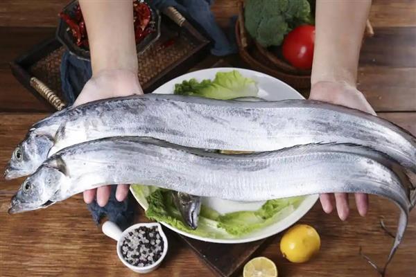 带鱼的食性介绍，冬季以带鱼、七星底灯鱼为食