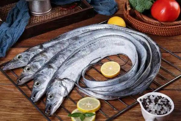 带鱼的食性介绍，冬季以带鱼、七星底灯鱼为食