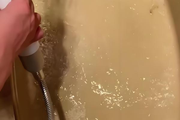 怎么检查猫瘟，可通过临床症状进行初步检查