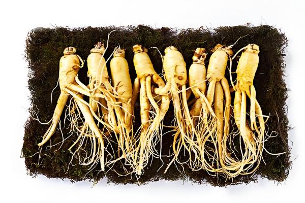 核桃是碱性食品吗，是碱性食物