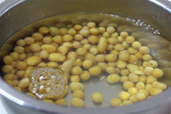 黄豆如何种植小盆栽，幼芽期提供以氮肥、尿素为主的肥料