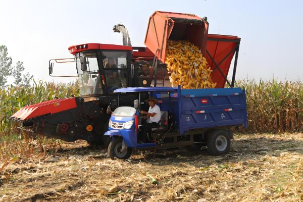 谷王玉米收割机的特点,发动机动力十足具有不错的可靠性