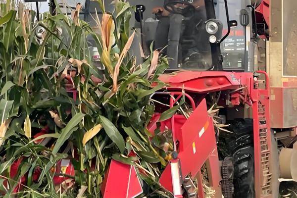 谷王玉米收割机的特点,发动机动力十足具有不错的可靠性