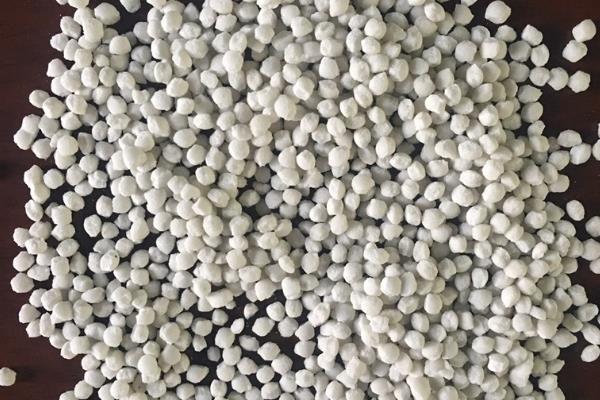 倒挂金钟怕不怕雨水，怕雨水但要保持土壤湿润