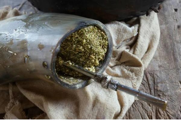 马黛茶简介,是由马黛树的叶子制作而成的茶