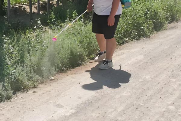 敌草快和草甘膦有什么区别,药物性质、防治对象等方面都不同