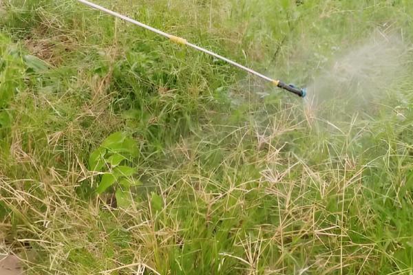 敌草快和草甘膦有什么区别,药物性质、防治对象等方面都不同