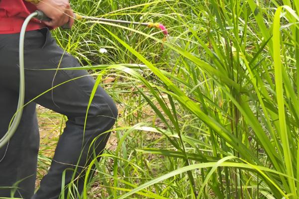 敌草快和草甘膦有什么区别,药物性质、防治对象等方面都不同