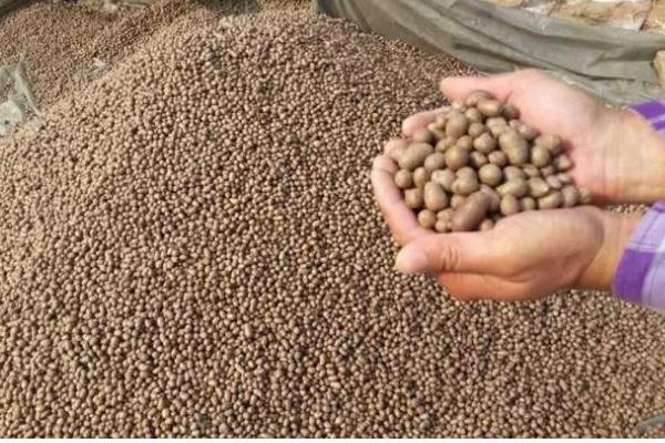 山药豆怎么种植，整个生长期浇水5-7次