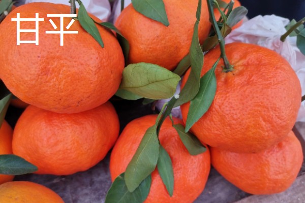 沃柑有哪些特点，果皮有油胞、果顶有印圈