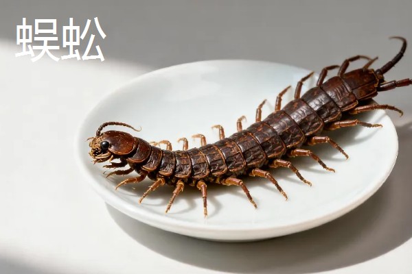 马陆和蜈蚣有什么区别,马陆较为圆润,而蜈蚣较为扁平