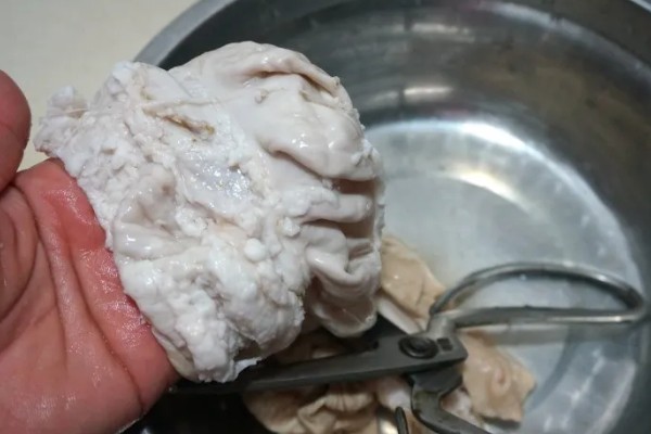 猪大肠和小肠如何分辨,可以从大小和切口等分辨