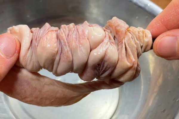 猪大肠和小肠如何分辨,可以从大小和切口等分辨