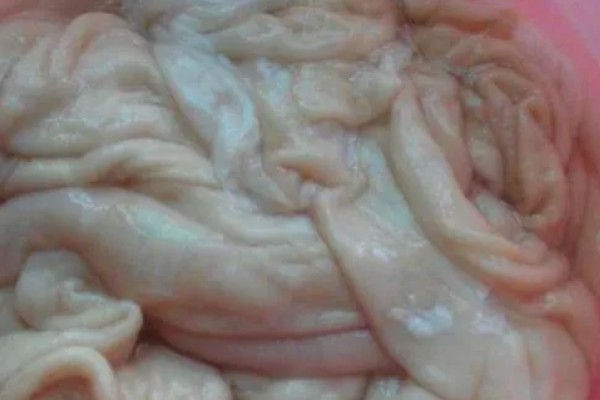 猪大肠和小肠如何分辨,可以从大小和切口等分辨