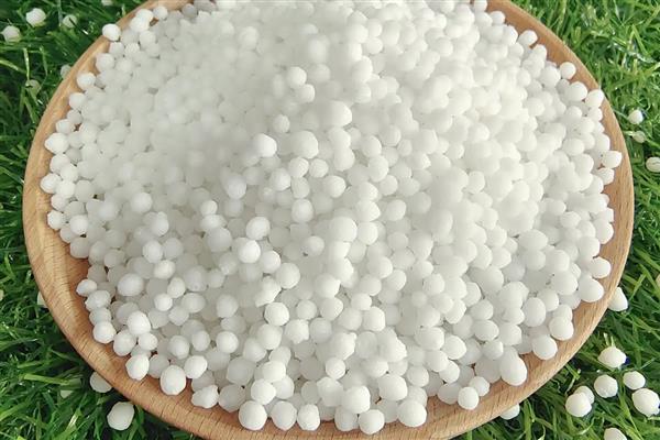 四季茶花用哪种肥料好，推荐氮肥、磷钾肥等