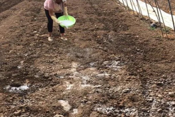 玉米怎么施肥能高产,基肥主要以农家肥为主